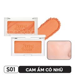 S01 MANGO CHIP