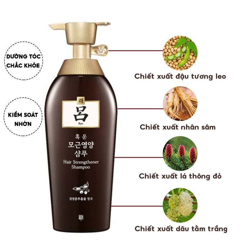 Dầu Gội Kiểm Soát Nhờn, Giúp Tóc Chắc Khỏe Ryo Hair Strengthener Shampoo 500ml