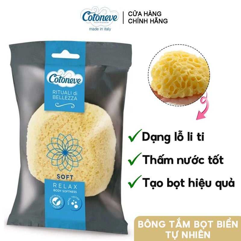 Bông Tắm Bọt Biển Tự Nhiên Thấm Nước & Tạo Bọt Hiệu Quả Cotoneve