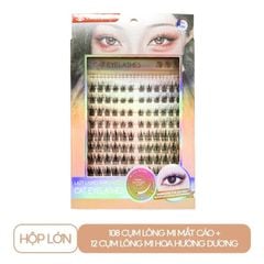 HỘP LỚN