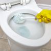 Nước tẩy rửa nhà tắm, nhà vệ sinh hương hoa tự nhiên Denkmit WC-Reiniger Nature, 750 ml