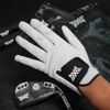Găng tay golf nam PLAYERS White | PXG | SALE THÁNG 9.2024