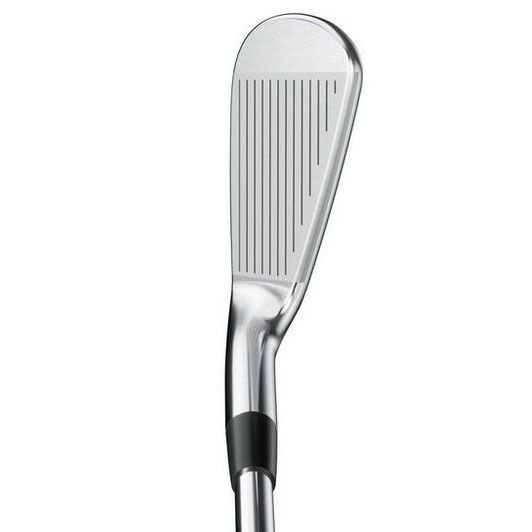 Bộ gậy sắt MIZUNO PRO 221