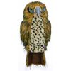 Cover gậy golf driver chim ưng HAWK | Daphne's Headcover