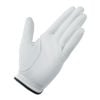 Găng tay golf nam 2MSGL-TJ161 Black/White N94639 | Taylor Made