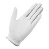 Găng tay golf 2MSGL-TJ162 White/Sliver N94645 | Taylor Made