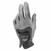 Găng tay golf Flex SILVER/BLACK | STAN