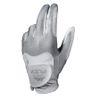 Găng tay golf Flex SILVER/ WHITE | STAN