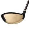 Gậy Driver cho nữ XXPRE6 Prime Royal Edition | XXIO