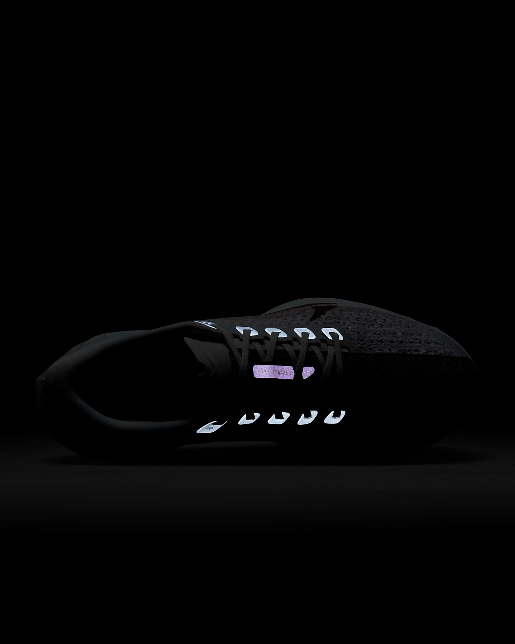 Nike - Giày chạy bộ thể thao Nữ Pegasus Plus Women's Road Running Shoes