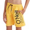 Oneill - Quần đi biển bé trai Mix & Match Cali Floral 13'' Swimming