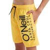 Oneill - Quần đi biển bé trai Mix & Match Cali Floral 13'' Swimming