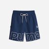 Puma - Quần ngắn nam Puma Team Men's Relaxed Shorts