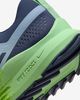 Nike - Giày chạy bộ thể thao Nam Pegasus Trail 4 Men's Trail-Running Shoes