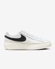 Nike - Giày thời trang thể thao Nam Blazer Phantom Low Men's Shoes