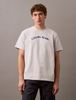 Calvin Klein - Áo thun tay ngắn nam CK Curved Logo T-shirt