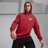 Puma - Áo khoác có mũ trùm đầu nam Men Full Sleeve Printed Hooded Sweatshirt