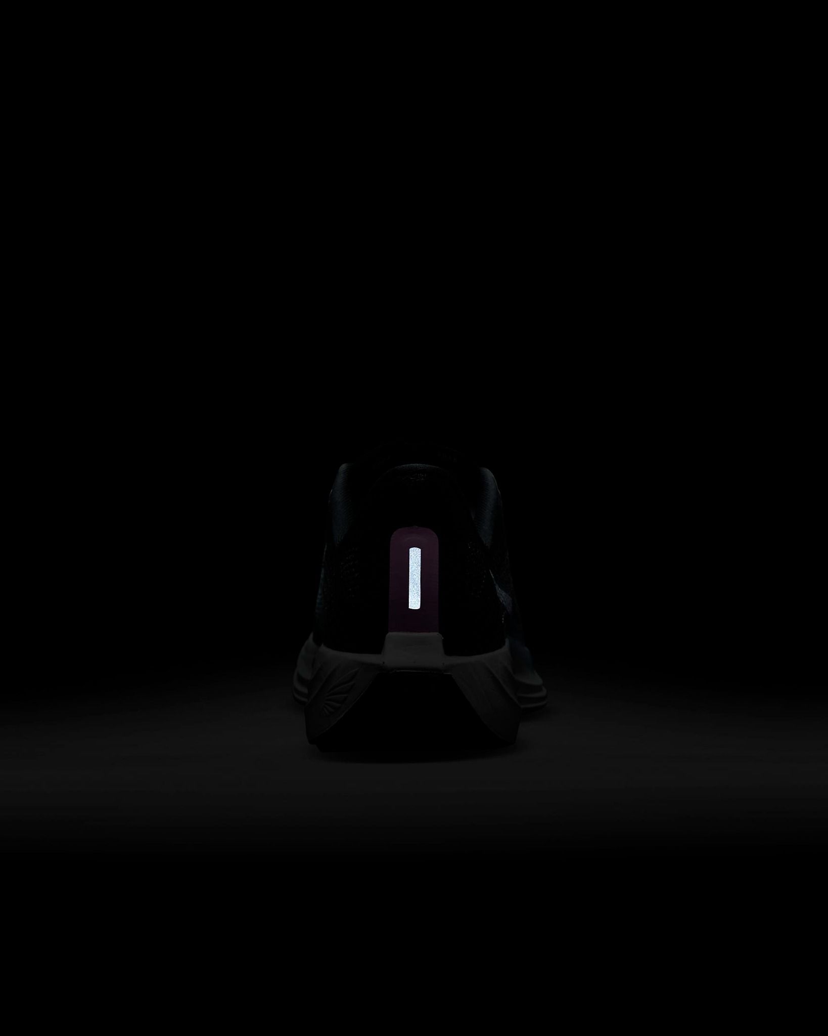 Nike - Giày chạy bộ thể thao Nữ Pegasus Plus Women's Road Running Shoes