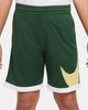 Nike - Quần Lửng Thể Thao Bé Trai Dri-Fit Older Kids' (Boys') Basketball Shorts