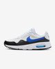 Nike - Giày thời trang thể thao Nam Nike Air Max SC Men's Shoes