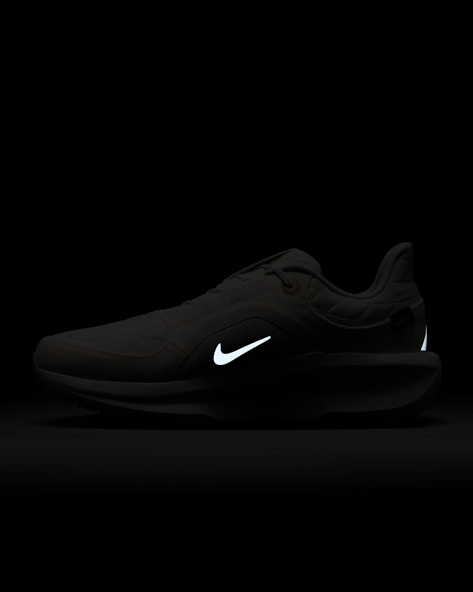 Nike - Giày chạy bộ thể thao Nam Winflo 11 GORE-TEX Men's Waterproof Road Running Shoes