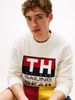 Tommy Hilfiger - Áo len tay dài nam Hilfiger Sailing Rib-Knit Intarsia Logo Jumper