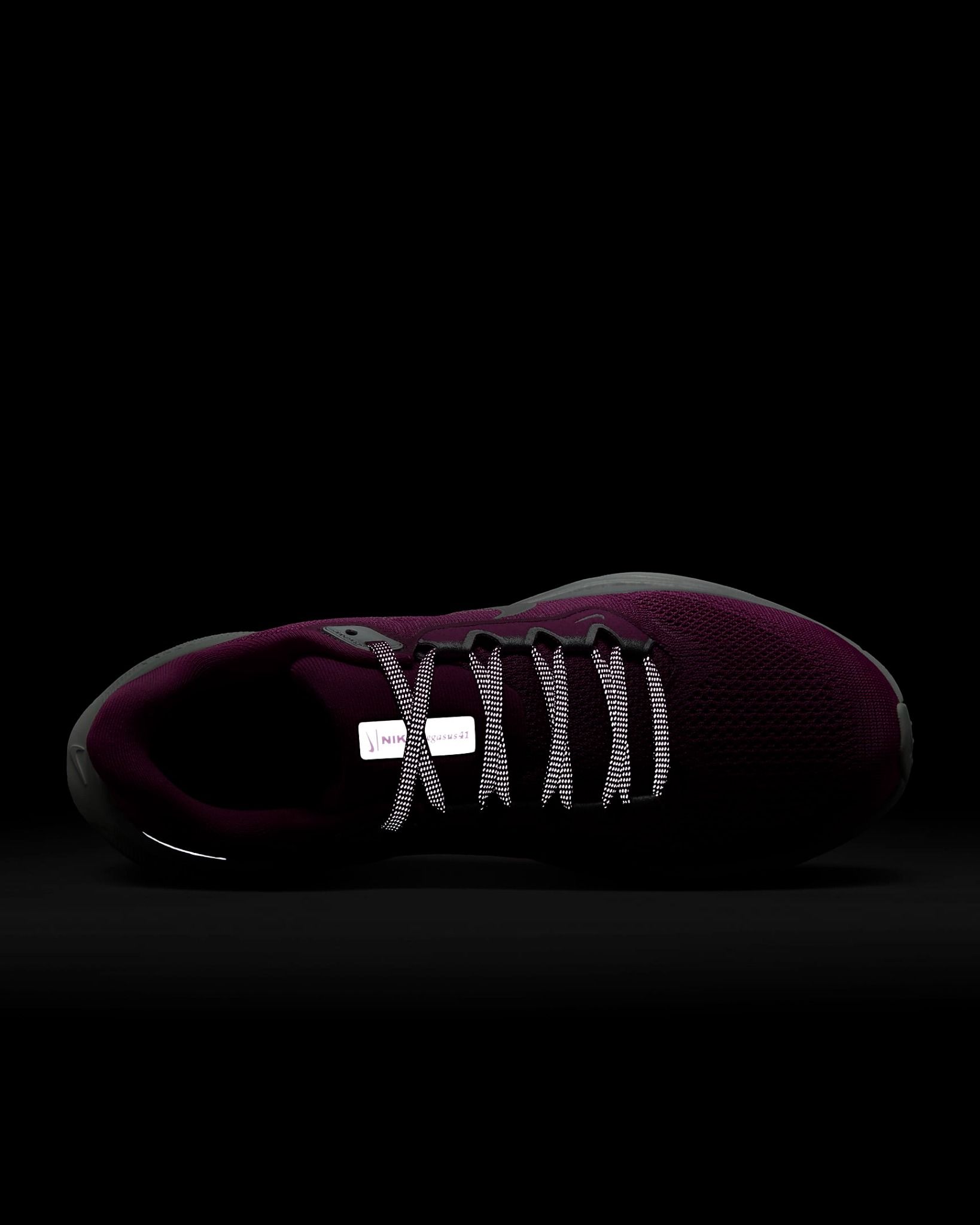 Nike - Giày chạy bộ thể thao Nữ Pegasus 41 PRM Women's Road Running Shoes