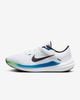 Nike - Giày chạy bộ thể thao Nam Winflo 10 Men's Road Running Shoes