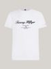 Tommy Hilfiger - Áo tay ngắn nam Embroidery Logo T-Shirt