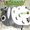 [Có Video] Đệm lười hạt xốp beanbag Totoro siêu bự