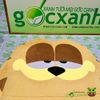 Nệm bông dày mèo Garfield 1.2x1.8m + Gối nằm 40x50cm + Feedback + Video