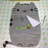 Nệm mèo Pusheen 1.2x2m cao su nhân tạo (Có feedback, video)