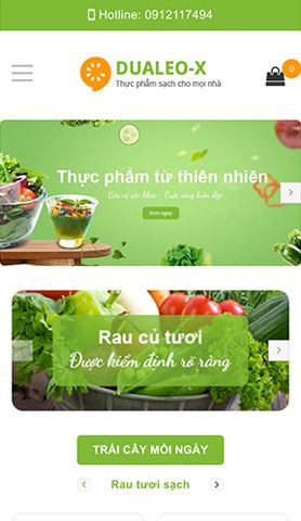 Mẫu website dualeo x