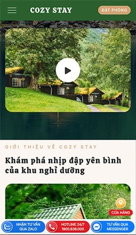 Mẫu website Cozy Stay