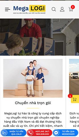 Mẫu website MegaLogi