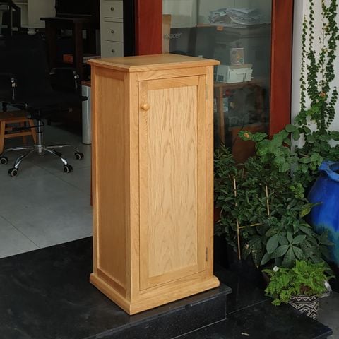 Tủ giày 1 cánh #9238