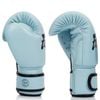 Găng Tay Fairtex Bgv20 Genuine Leather Boxing Gloves