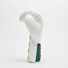 Găng Tay Leone Orlando Tricolore Boxing Gloves Laces - White