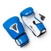 Găng Tay BN Beetle Boxing Gloves 2024 - Blue