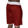 Quần Boxing Leone Double Face Boxing Shorts