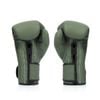 Găng Tay Fairtex Bgv11 F-day Limited Edition Muay Thai/Boxing Gloves