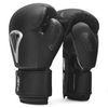 Găng Tay BN Beetle Boxing Gloves 2024 - Black