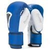 Găng Tay BN Beetle Boxing Gloves 2024 - Blue