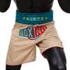 Quần Boxing Fairtex BT2010 