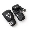 Găng Tay BN Beetle Boxing Gloves 2024 - Black