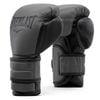 Găng Tay Everlast Powerlock 2 Pro Hook & Loop Training Gloves - Charcoal