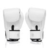 Găng Tay ONE X Fairtex Boxing Gloves - White