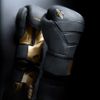 Găng Tay Hayabusa T3 Lx Boxing Gloves - Obsidian/Gold