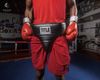 Bảo Hộ Hạ Bộ Title Boxing Deluxe Groin Protector Plus 2.0