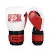 Găng Tay Boxing Saigon Special Edition Gloves - Signature